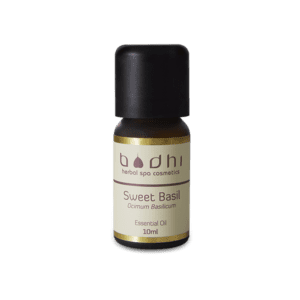 Sweet Basil Essential Oil 10 ml